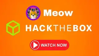 HackTheBox Meow | Hack The Box Meow Root Flag 