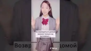 как вам это видео?