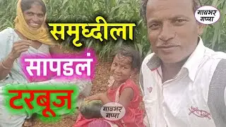 समृध्दीला शेतात सापडलं 🍉 टरबुज #टरबूज