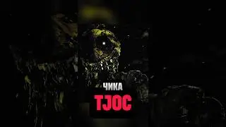 ЧИКА ИЗ TJOC 