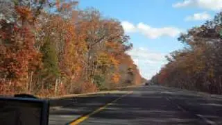 Fall Season Scenery view driving towards Atlantic City