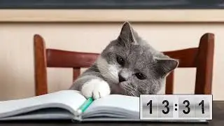 Ders Çalışırken Odaklanmanı ve Konsantrasyonunu Artıracak Müzikler