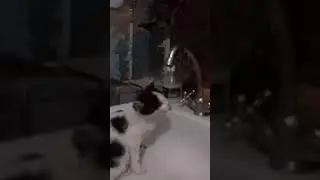 20 октября 2020 г.