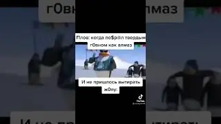 мемы