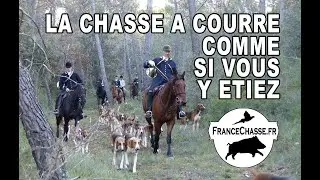 La chasse à courre comme si vous y étiez (filmée à cheval avec gopro) !