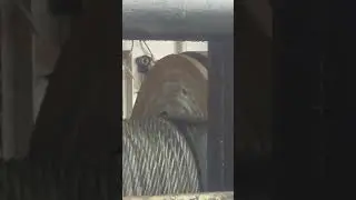 тросовый укладчик стамбул, тросоукладчик на лебедке Турция