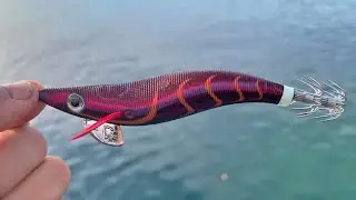 Squid Fishing | PERFECT conditions #squidfishing