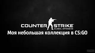 Моя небольшая коллекция в CS:GO