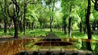 Cemalyon - Doğa ve Müzik