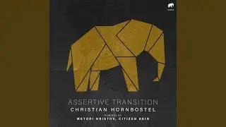 Assertive Transition (Metodi Hristov Remix)