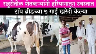 राहुरी येथील शेतकऱ्यांनी हरियाणातून 7 गाई खरेदी केल्या || टॉप सेक्स सिमेनच्या गाई विक्रीसाठी उपलब्ध
