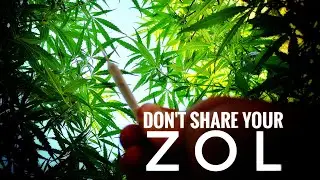 GROW your own smokes | SOUTH AFRICAN ZOL