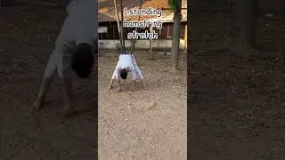 Stretches for high kicks ￼💪🏻#short #gymnast #power #karate @prashanthprashu_
