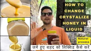जमे हुए शहद को सही करें घरेलू उपाय // how to change crystal honey in liquid (natural process) #viral