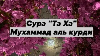 Сура "Та Ха" Чтец Мухаммад Аль Курди #islam #quran
