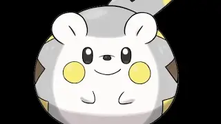 Pokemon Togedemaru sun and moon 3 pack blister pack opening.