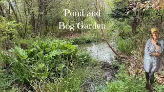 Natural Water Garden