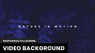 Responsive Fullscreen Video Background | Vide JS | HTML, CSS & JavaScript  2019