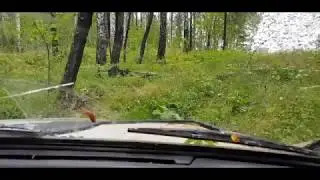 Уаз Патриот и Нива 21213 по легкому бездорожью