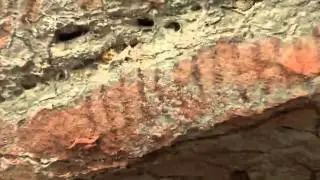 Adriano Soares   repórter, reportagem sobre pinturas rupestres em Mato Grosso