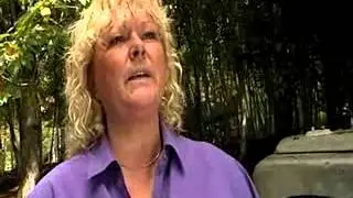 Big Ideas - Annette Chinn
