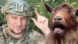 Обзор фейков российской пропаганды по Курской области 447 коз в Северную Корею. Антизомби