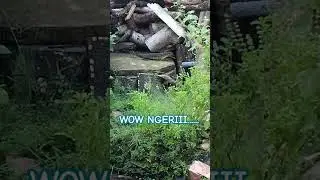 Wow ngeriii