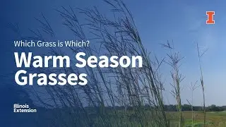 Warm Season 