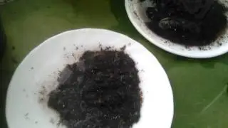 Новая посадка (часть первая)