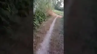 Una casa vuota... Video più personale del solito