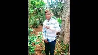 lt de vangay unity fitiavana compose1