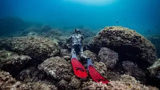 My first time in Croatia for spearfishing 🇭🇷 Northern Adriatic Sea.