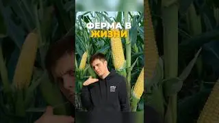 ФЕРМА В RUST😂 