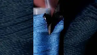 Things you will never see before!