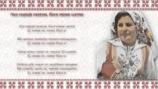 Костадинка Палазова и Чалгии - Низ корија зелена, босо моме шета