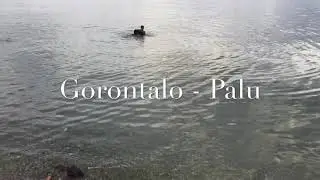 ( Travel vlog ) Touring Gorontalo - Palu