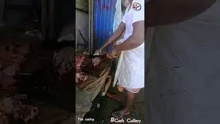 fish cutting | #Shorts #gethgallery