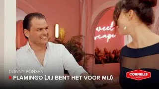 Donny Ponsen - Flamingo (Jij bent het voor mij) (Officiële videoclip)