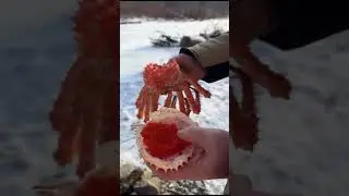 УРОКИ ВЫЖИВАНИЯ  (ЮМОР)