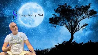 SingularityNET Leading the AI Revolution on the Blockchain A Path to the Technological Singularity🤖