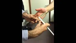 5. UL Ulnar nerve - Course