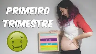 DÁRIO DE GRAVIDEZ - PRIMEIRO TRIMESTRE