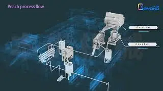 SUS304 Automatic Juice Extractor Machine For Apple pulping
