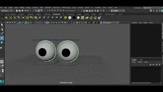 eye rig