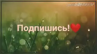 Клип "Da Da Da" Я старалась, и я думаю вам понравится☺️☺️☺️☺️☺️☺️☺️☺️❤️❤️❤️❤️)))))