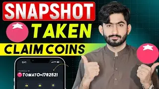 Tomarket Snapshot Taken Successfully  | Tomarket AirDrop Withdrawal | Claim Tomato Coins