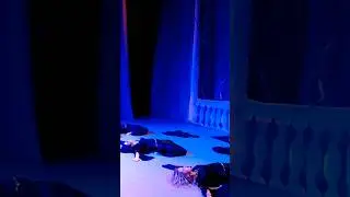 Abaya 💫 28.12 2024 Sajda Obaid👑🎵