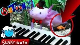 Axolotl plays the piano (for 10 minutes)