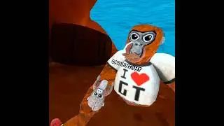 Playing gorilla tag with minkyVR and krustyVR