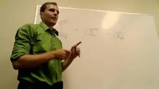 Q2 Biochem Wk2 - Tutor - Fatty Acid Synthesis!